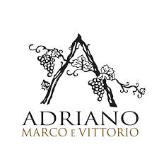 (image for) ADRIANO MARCO E VITTORIO BARBERA D'ALBA 2023