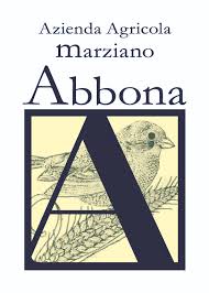 (image for) MARZIANO ABBONA BARBARESCO FASET 1995