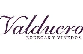 (image for) Valduero Crianza 1990 - Click Image to Close